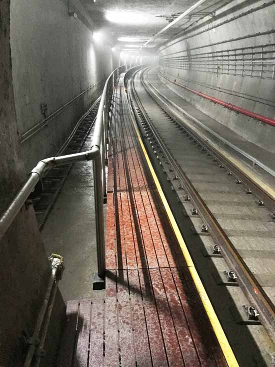 轉(zhuǎn)型升級(jí)系列報(bào)道之七｜“新棋子”科博思擁抱趨勢(shì)，用實(shí)力擴(kuò)大隆華復(fù)材疆域